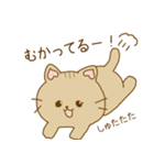 毎日使える ねこスタンプ アビシニアン編（個別スタンプ：31）