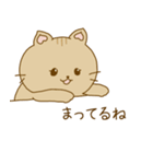 毎日使える ねこスタンプ アビシニアン編（個別スタンプ：39）