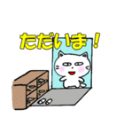 日常会話 白猫のミャウ（個別スタンプ：38）