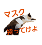パンタソ スタンプ（個別スタンプ：1）
