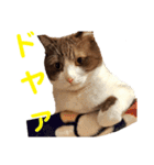 パンタソ スタンプ（個別スタンプ：9）