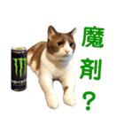 パンタソ スタンプ（個別スタンプ：10）