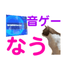 パンタソ スタンプ（個別スタンプ：13）