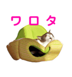 パンタソ スタンプ（個別スタンプ：16）