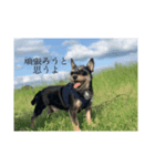 ぼく、かん太くんっていいます（個別スタンプ：8）
