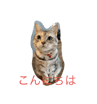 はっさくちゃん（個別スタンプ：1）