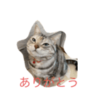 はっさくちゃん（個別スタンプ：3）