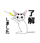 白猫テンテン（個別スタンプ：1）