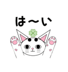 白猫テンテン（個別スタンプ：2）