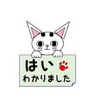 白猫テンテン（個別スタンプ：3）