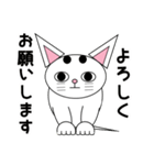 白猫テンテン（個別スタンプ：7）