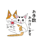 白猫テンテン（個別スタンプ：8）