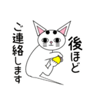 白猫テンテン（個別スタンプ：13）