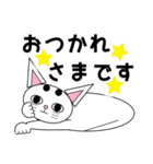 白猫テンテン（個別スタンプ：16）