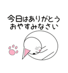 白猫テンテン（個別スタンプ：17）