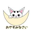 白猫テンテン（個別スタンプ：18）