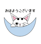 白猫テンテン（個別スタンプ：19）