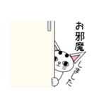 白猫テンテン（個別スタンプ：23）