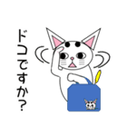 白猫テンテン（個別スタンプ：36）