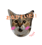 みあひめ（個別スタンプ：1）