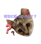 みあひめ（個別スタンプ：10）