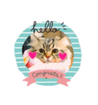 みぃむむぅみむにこ（個別スタンプ：1）