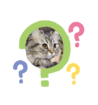 みぃむむぅみむにこ（個別スタンプ：3）