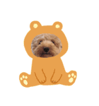 ジャッキーくんたくさんのスタンプ（個別スタンプ：5）
