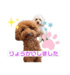 こむたん's   完全版（個別スタンプ：4）