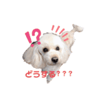 こむたん's   完全版（個別スタンプ：9）