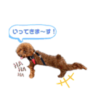 こむたん's   完全版（個別スタンプ：10）