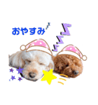 こむたん's   完全版（個別スタンプ：12）