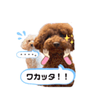 こむたん's   完全版（個別スタンプ：13）