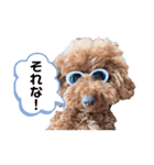 こむたん's   完全版（個別スタンプ：25）