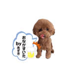こむたん's   完全版（個別スタンプ：30）