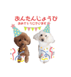 こむたん's   完全版（個別スタンプ：31）