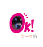 ohanaちん（個別スタンプ：5）