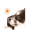 ohanaちん（個別スタンプ：9）