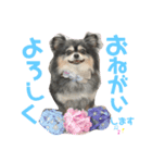 クゥーちゃんスタンプ2（個別スタンプ：5）