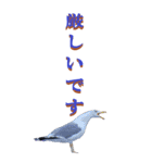 仕事用で使う言葉を身近な鳥から～BIG（個別スタンプ：10）