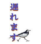 仕事用で使う言葉を身近な鳥から～BIG（個別スタンプ：21）