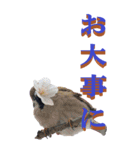 仕事用で使う言葉を身近な鳥から～BIG（個別スタンプ：25）