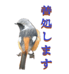 仕事用で使う言葉を身近な鳥から～BIG（個別スタンプ：38）