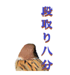 仕事用で使う言葉を身近な鳥から～BIG（個別スタンプ：40）