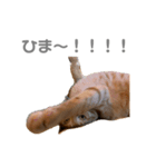 小梅のねこ 2（個別スタンプ：7）