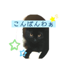 ゆずトロスタンプ（個別スタンプ：3）