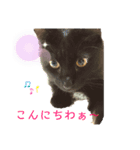 ゆずトロスタンプ（個別スタンプ：6）