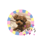 我が家のさぶろーくん（個別スタンプ：4）