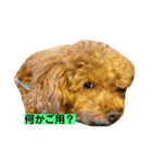 我が家のさぶろーくん（個別スタンプ：7）