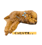 我が家のさぶろーくん（個別スタンプ：8）